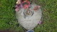 2023_1192_Matthew_Lavelle_1975_1975_gravstein.png