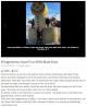 2023_956_Aaron_Maria_Ryan_Israel_Klingsheim_CrescoTimes_10feb2023.jpg
