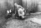 Rebekka i fjosveggen heime med barnebarn Hanna, dotter av Ragna ?Anestad. 1927/28 (H?a bildebibliote