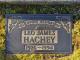 2024_1667_Leo_Hachey_gravstein_1926_1994.jpg