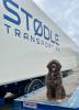 2024_311_Stodle_Transport_FB_2023.jpg